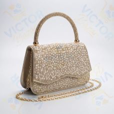 Party Clutch ladies Purse (Champagne Gold Color)