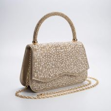Party Clutch ladies Purse (Champagne Gold Color)